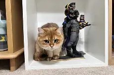 k丶灬杜兰特丶-华体会棋牌