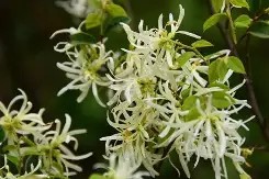 娾?贔瘀sU?源膵的简单介绍-华体会电竞