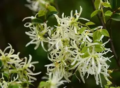 娾?贔瘀sU?源膵的简单介绍